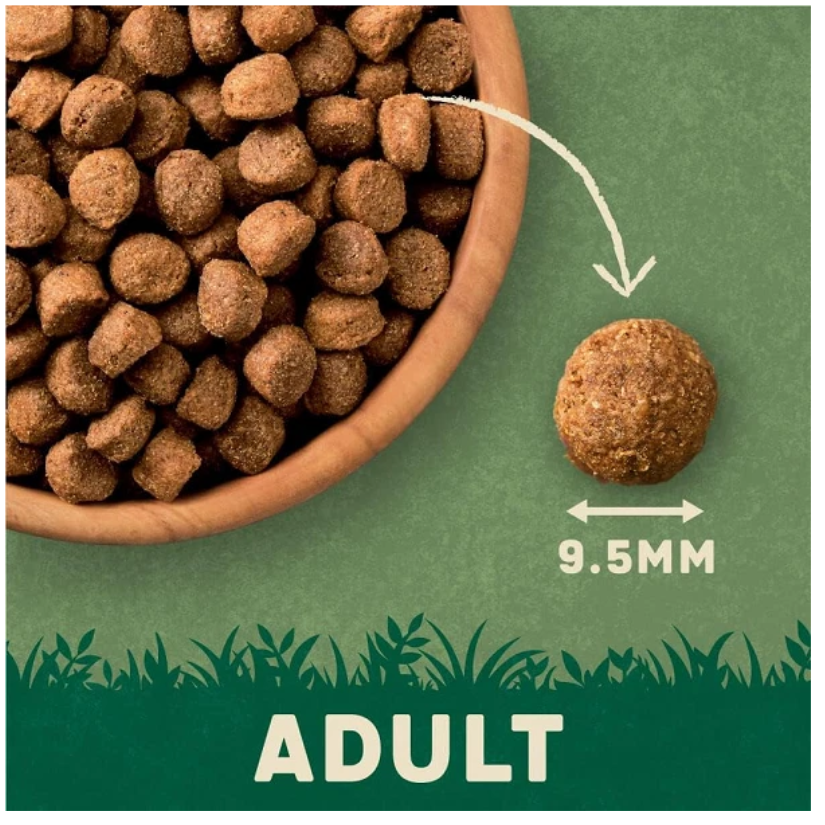 Harringtons Adult Dog Food Lamb & Rice Flavoured 15kg 